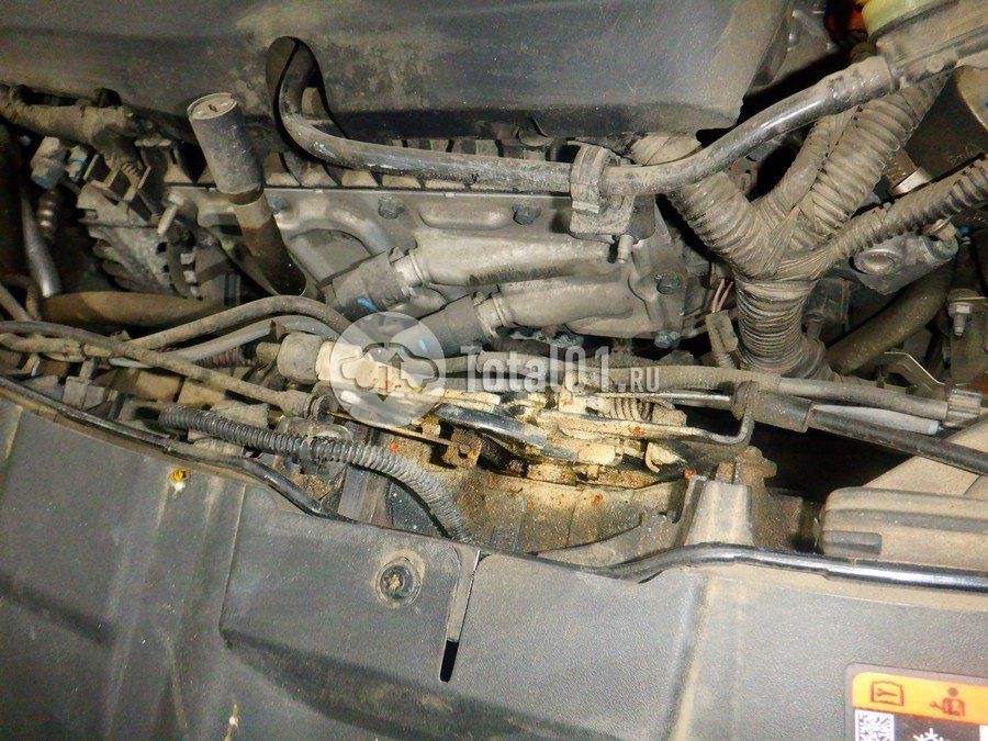 Фото Ford Focus 236