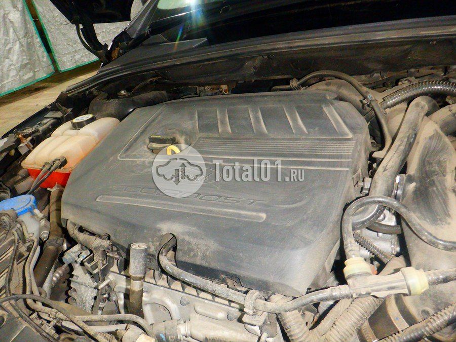 Фото Ford Focus 238