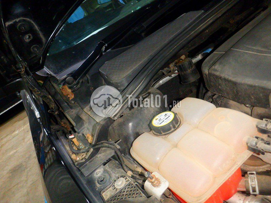 Фото Ford Focus 242