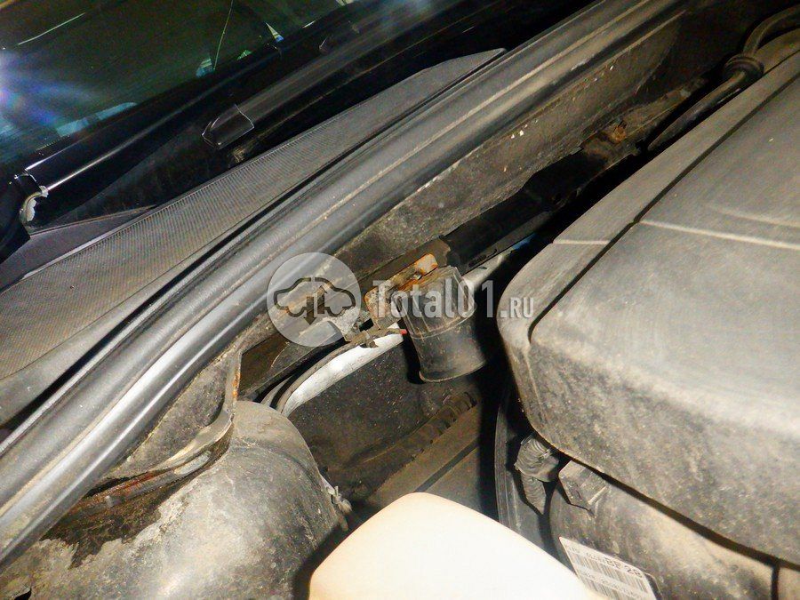 Фото Ford Focus 244