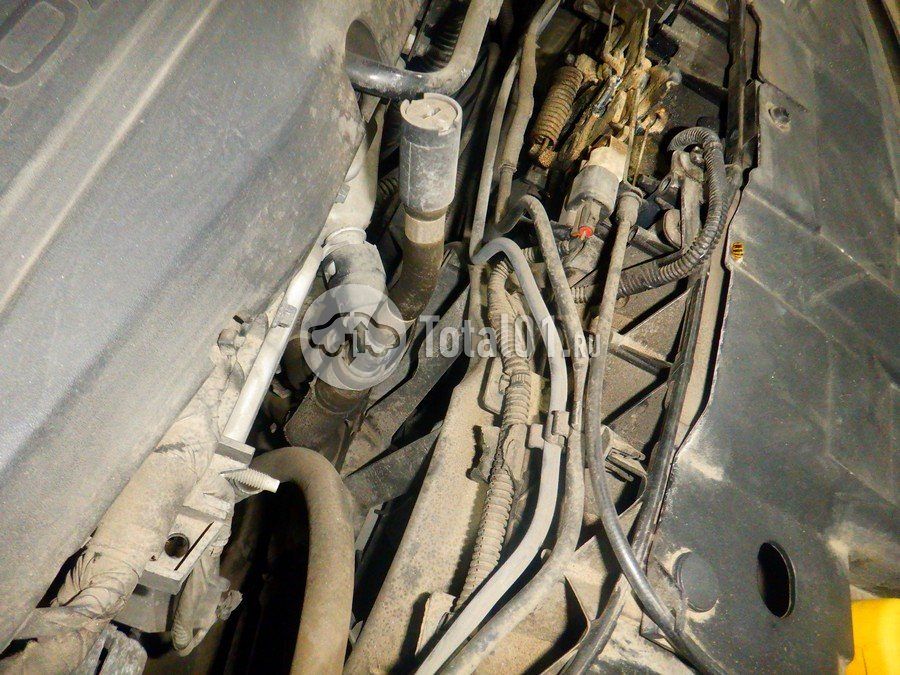 Фото Ford Focus 256