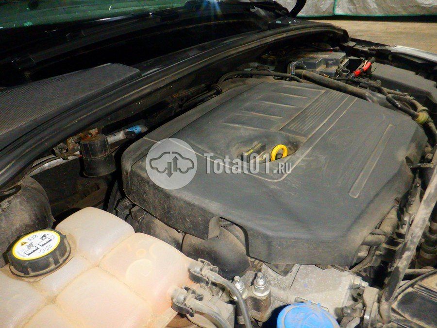 Фото Ford Focus 260