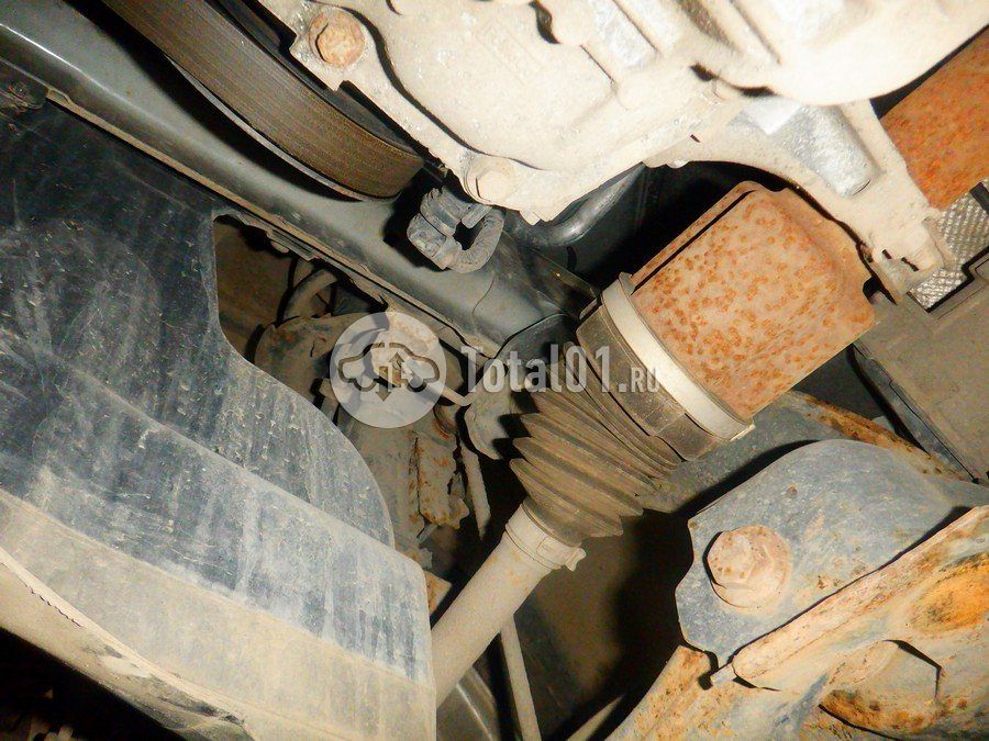 Фото Ford Focus 324