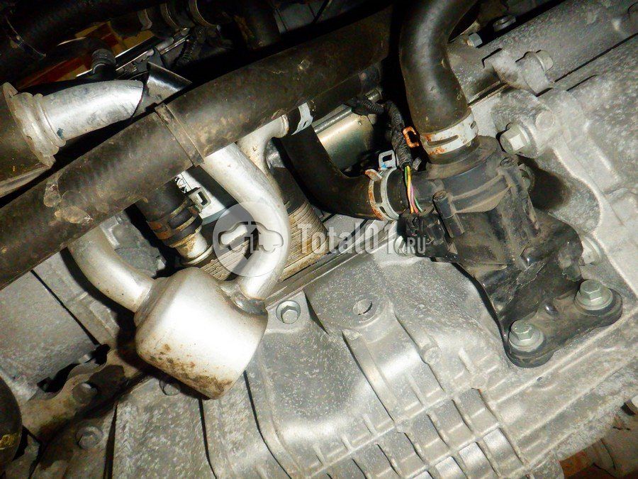 Фото Ford Focus 328