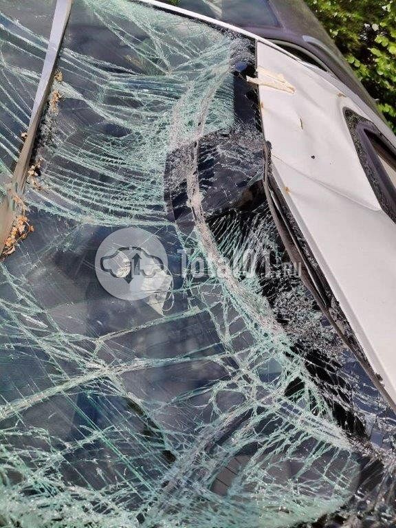 Фото Haval F7 58