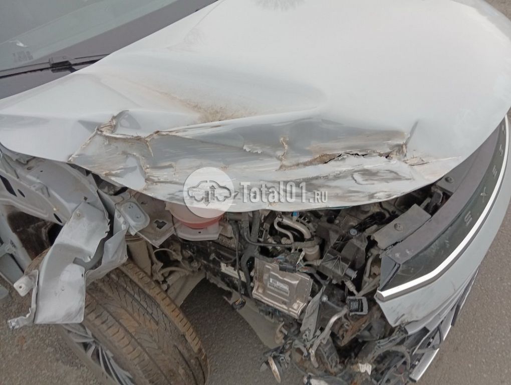 Фото EXEED TXL 22