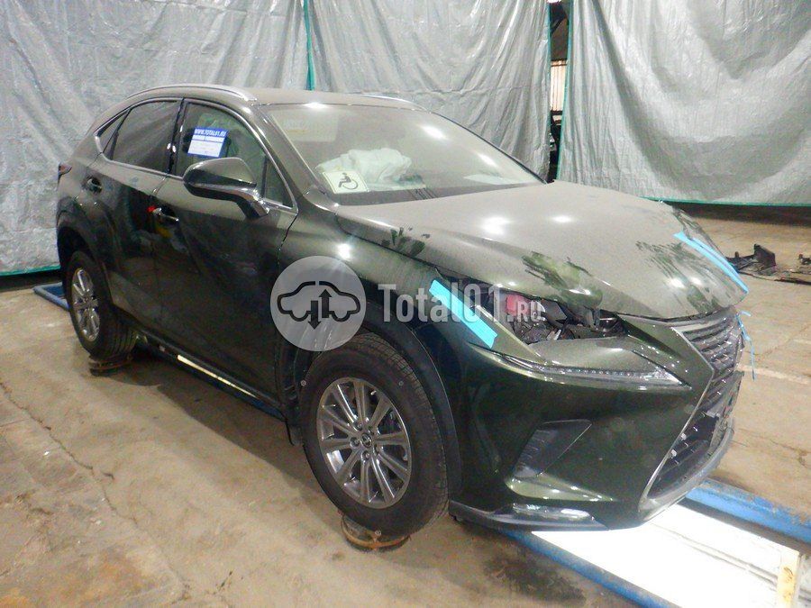 Фото Lexus NX 10
