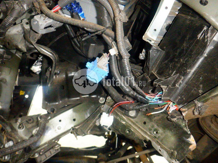 Фото Lexus NX 192