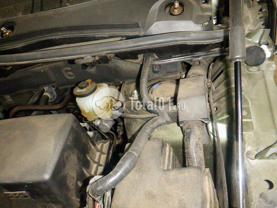 Фото Lexus NX 204