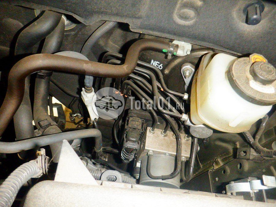 Фото Lexus NX 214