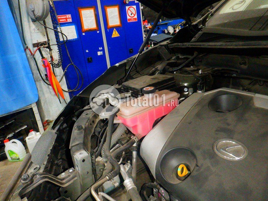 Фото Lexus NX 232