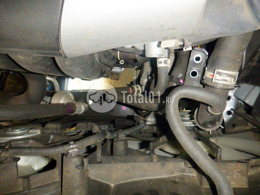 Фото Lexus NX 244