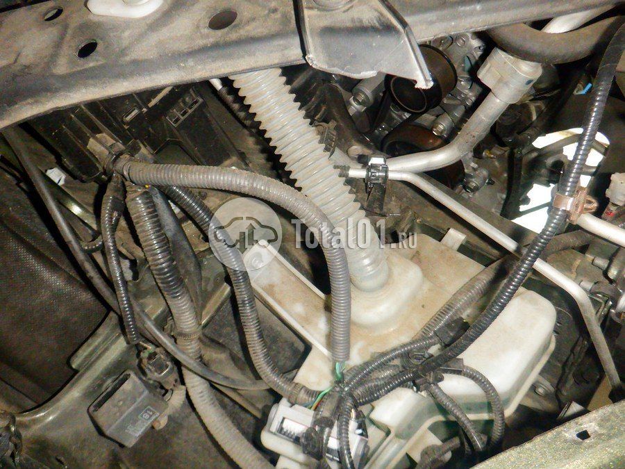 Фото Lexus NX 250