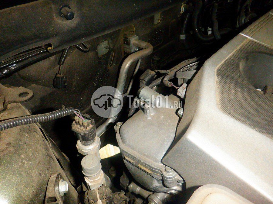 Фото Lexus NX 254