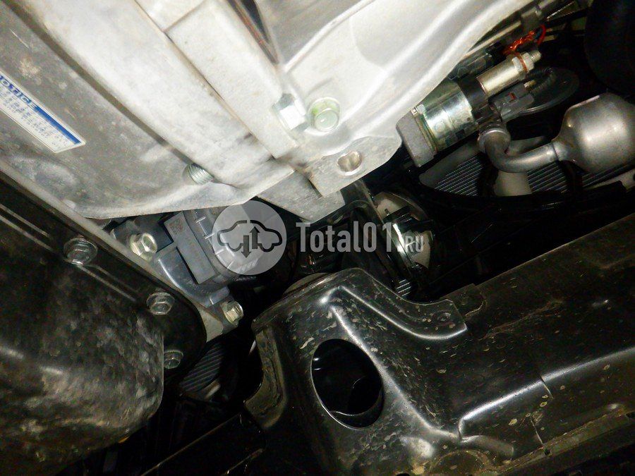 Фото Lexus NX 316