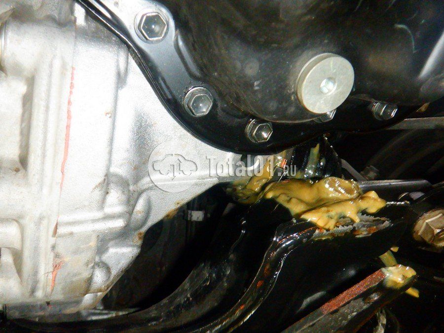 Фото Lexus NX 328