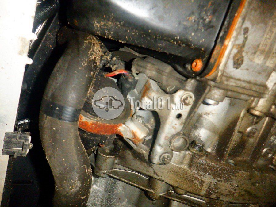 Фото Mercedes-Benz B-класс 308