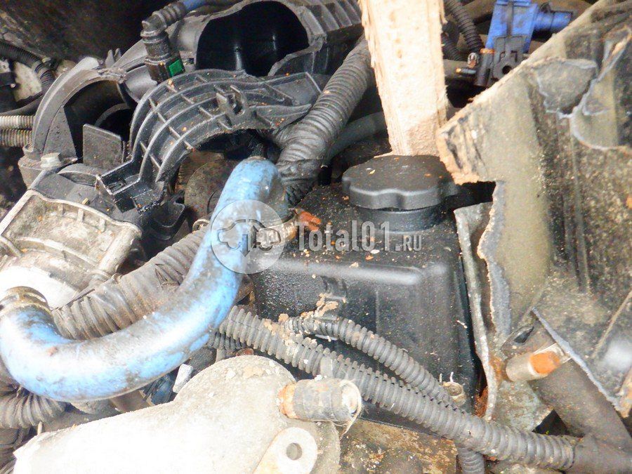 Фото ГАЗ ГАЗель Next 252