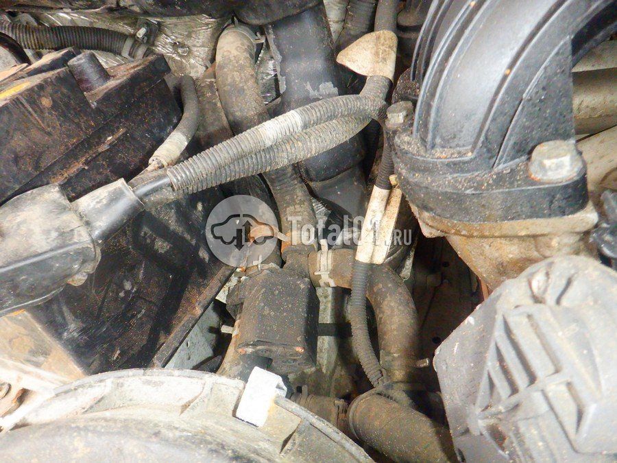 Фото ГАЗ ГАЗель Next 258