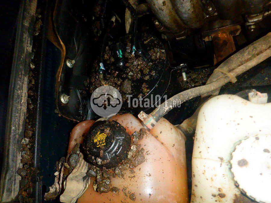 Фото ВАЗ (LADA) Niva 258