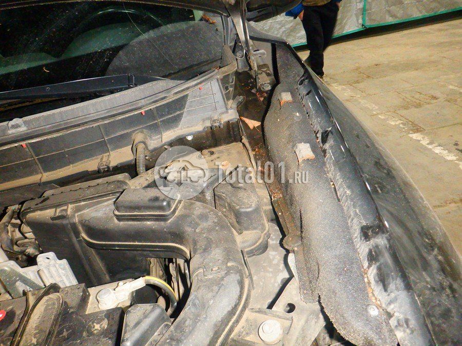 Фото Nissan X-Trail 114