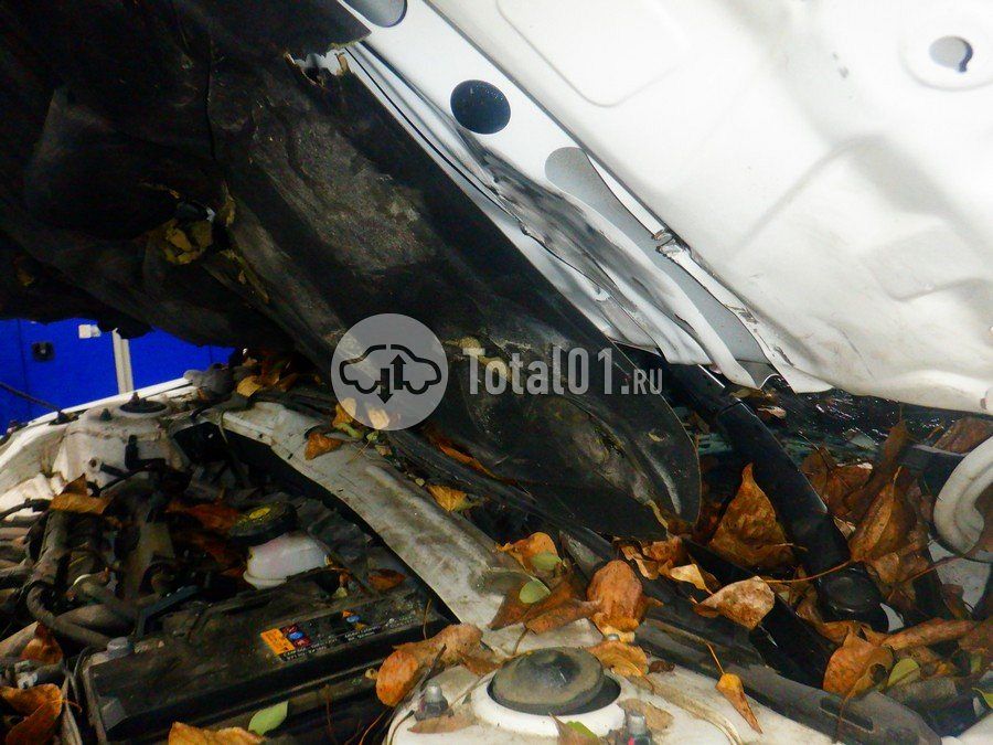 Фото Hyundai Elantra 168