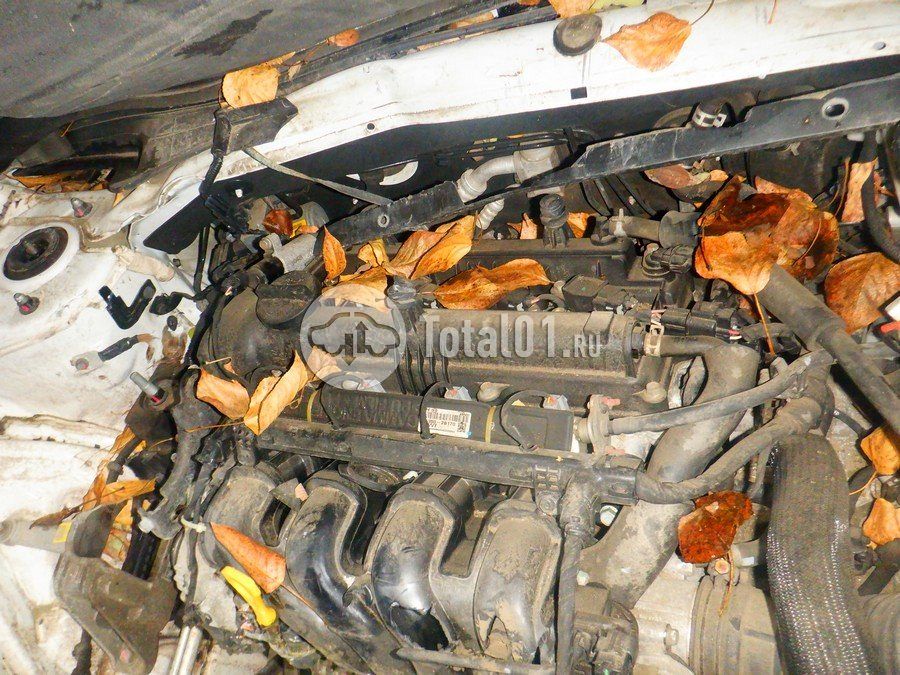 Фото Hyundai Elantra 184