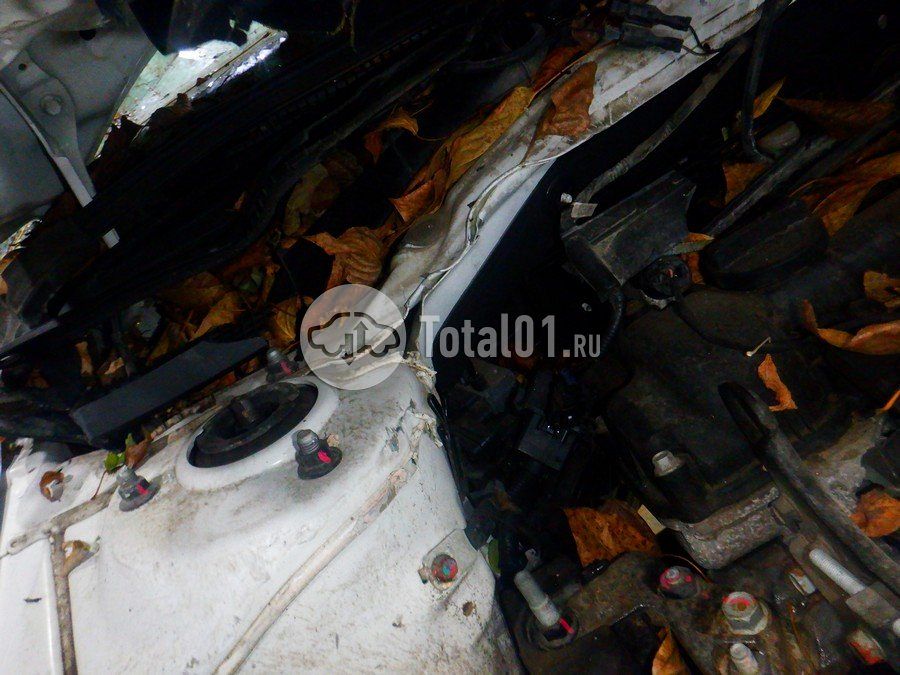 Фото Hyundai Elantra 236