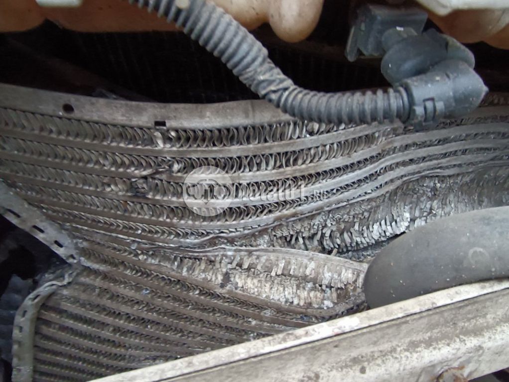 Фото Камаз 5490 130