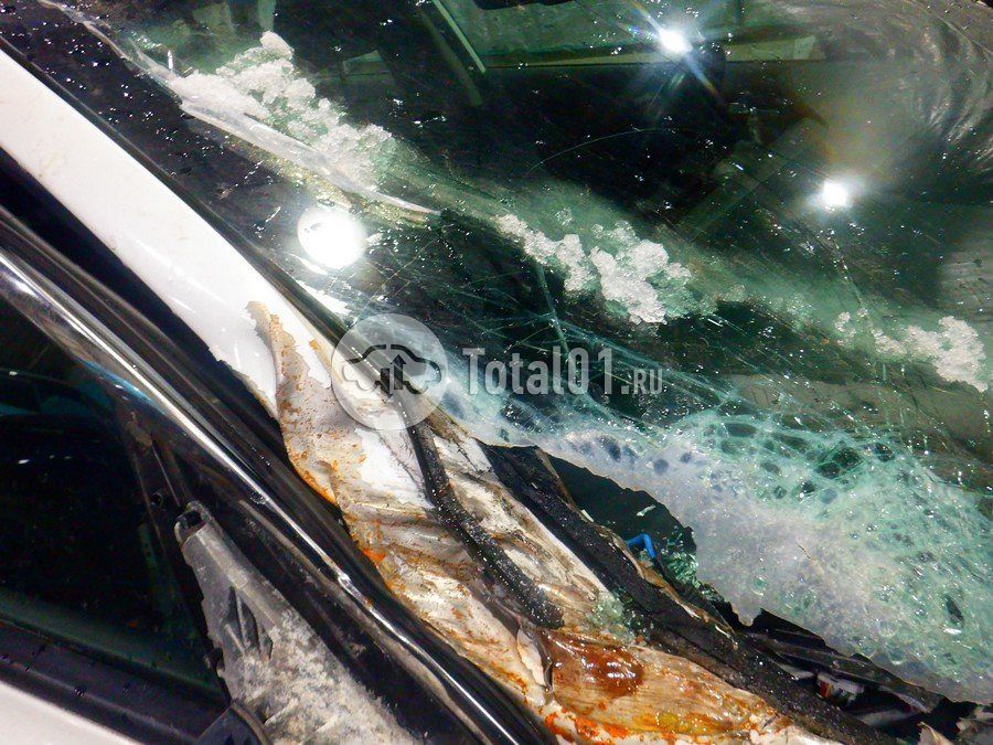 Фото KIA Optima 158