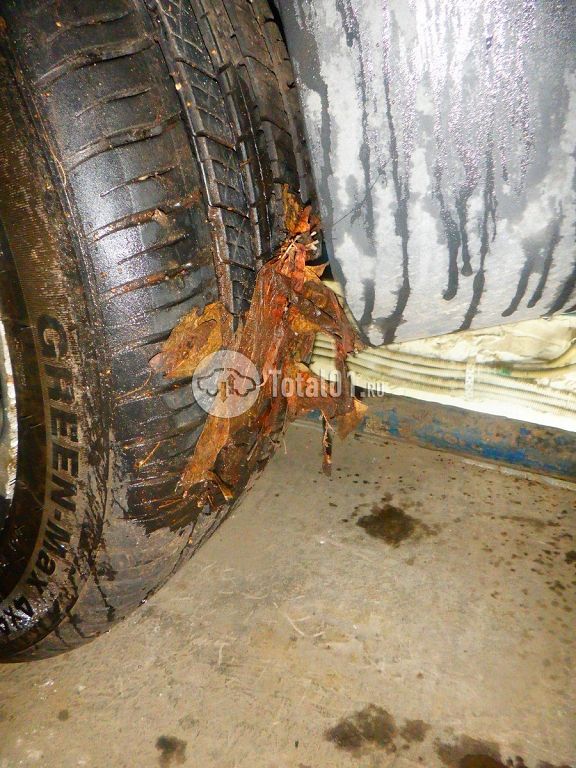 Фото Geely Coolray 180