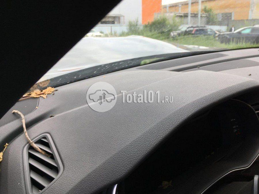 Фото Audi Q8 118