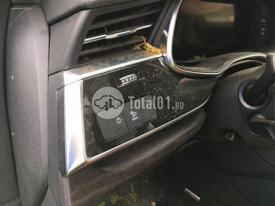 Фото Audi Q8 120