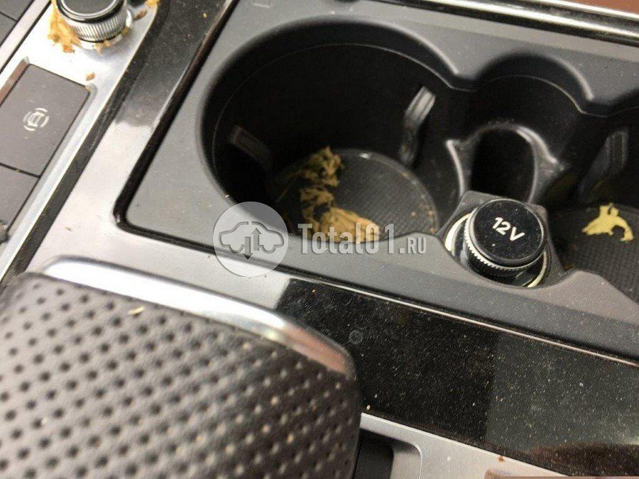 Фото Audi Q8 132