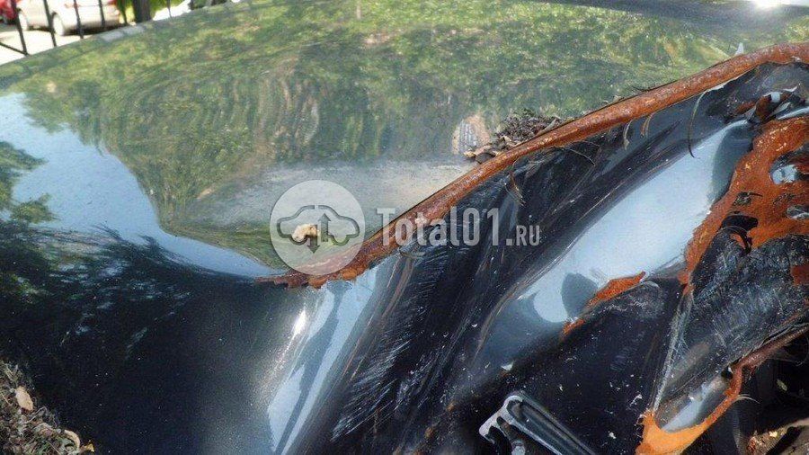 Фото ВАЗ (LADA) 4x4 BRONTO 90