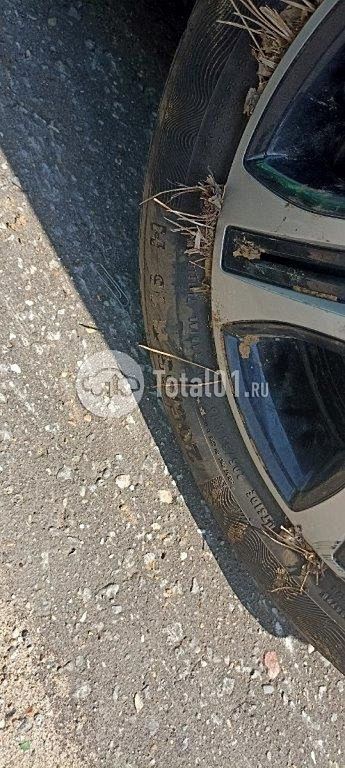 Фото Renault Logan 154