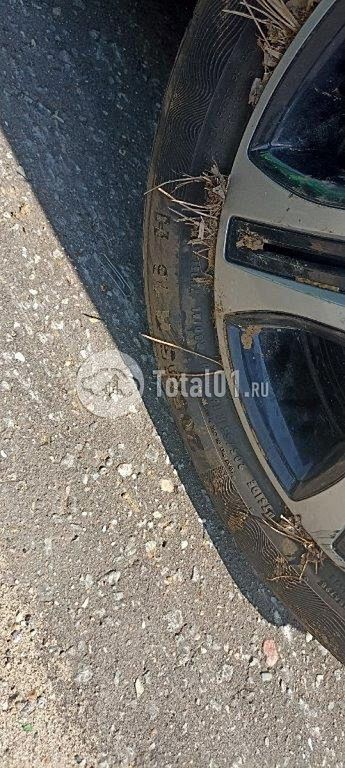 Фото Renault Logan 156