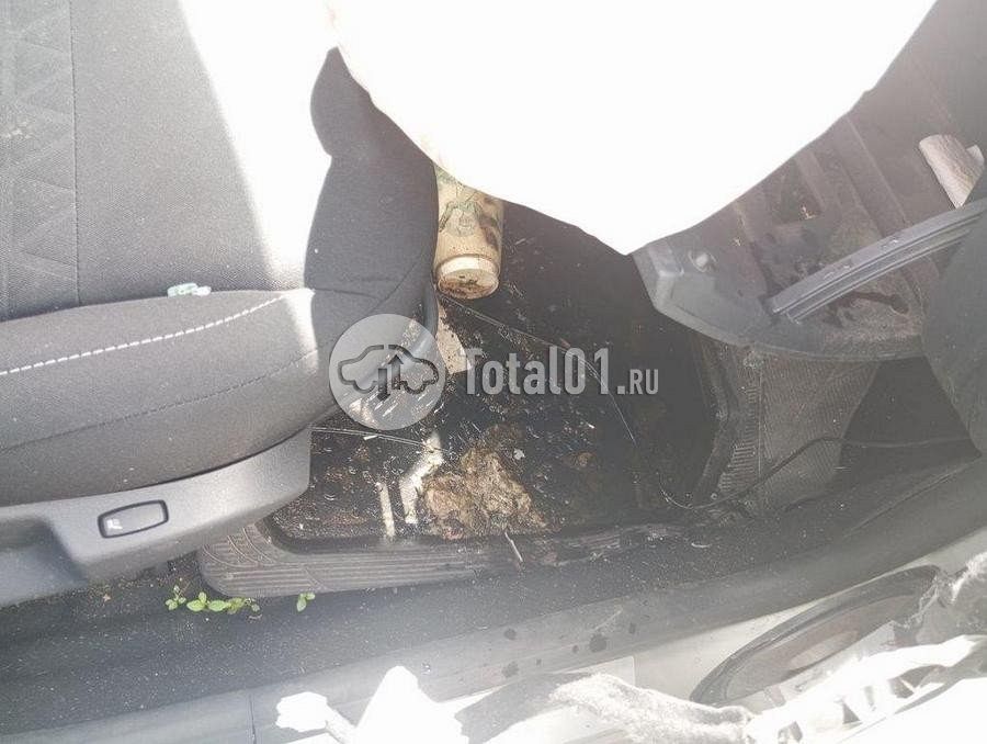 Фото Renault Sandero 44