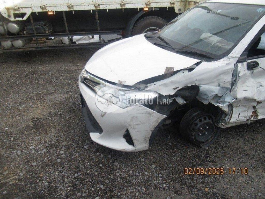 Фото Toyota Corolla Fielder 24