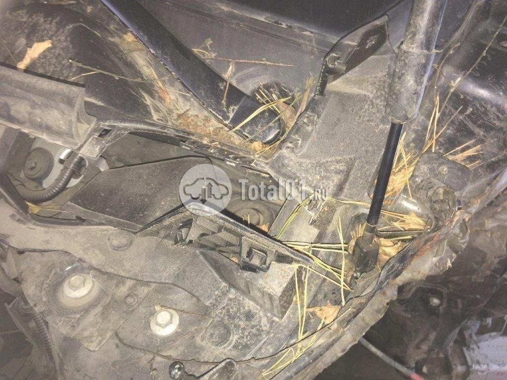 Фото Infiniti QX60 490