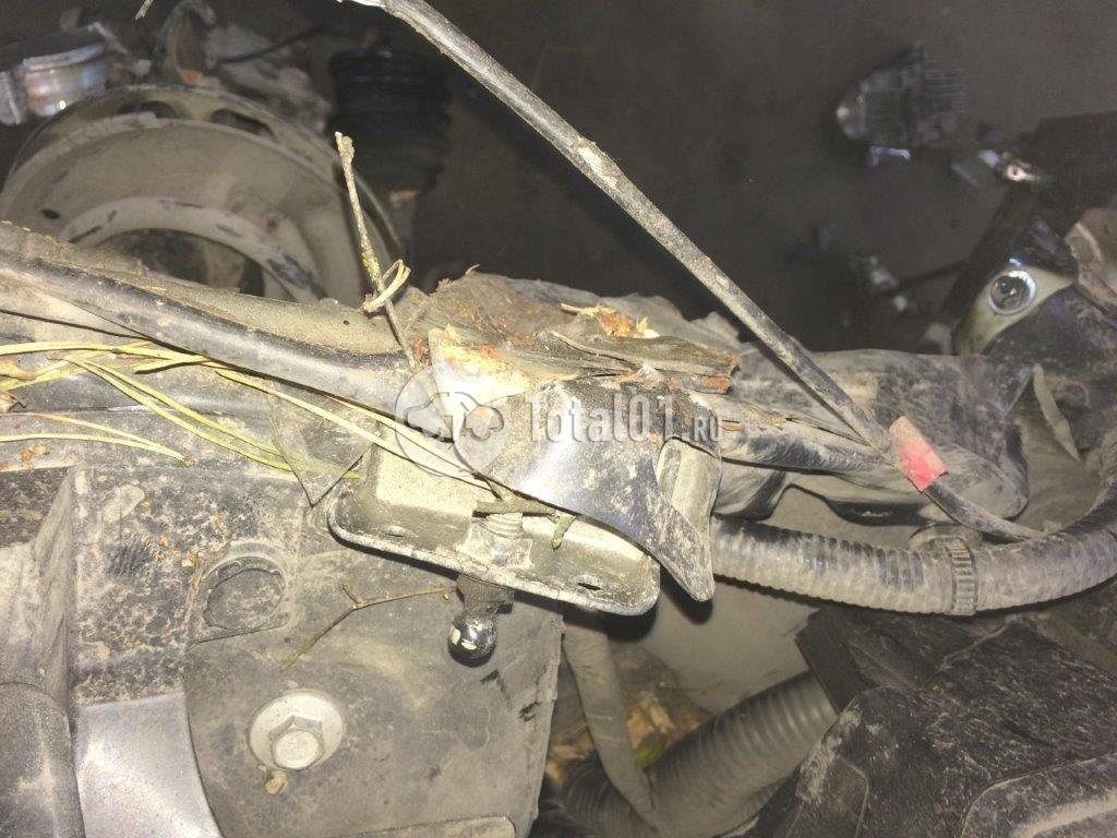 Фото Infiniti QX60 496