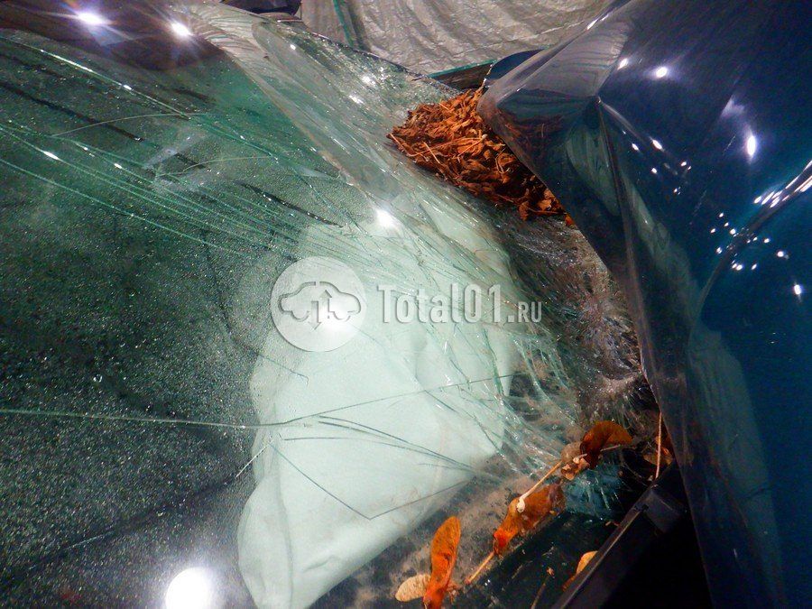 Фото GAC GS8 118