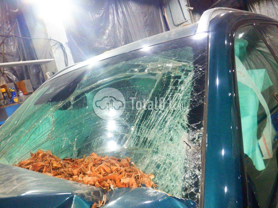 Фото GAC GS8 184