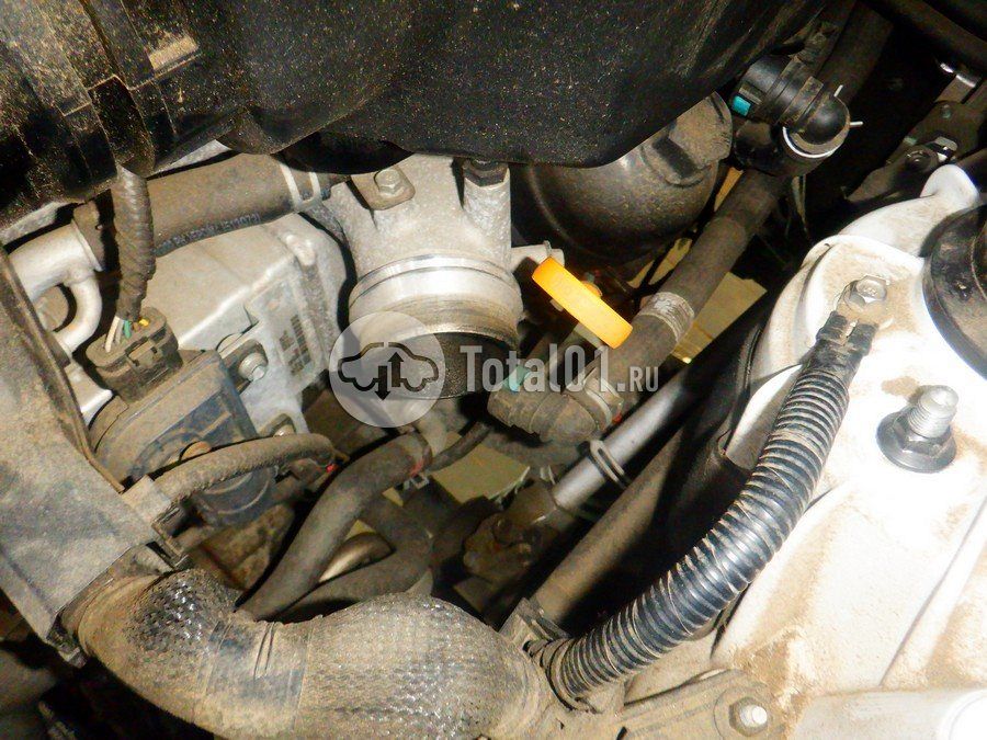 Фото Genesis GV80 198