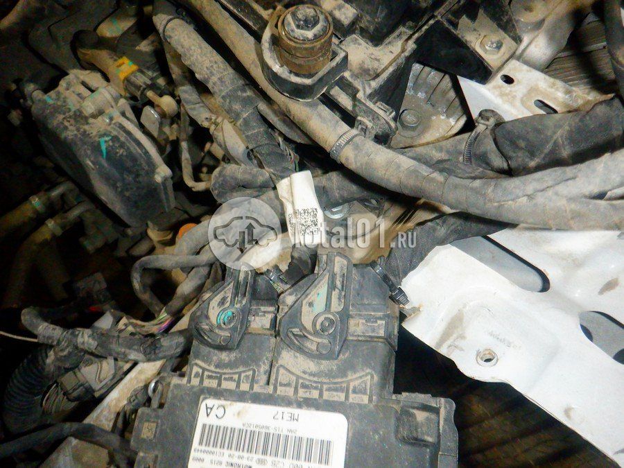 Фото EXEED LX 176