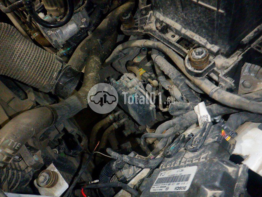 Фото EXEED LX 186