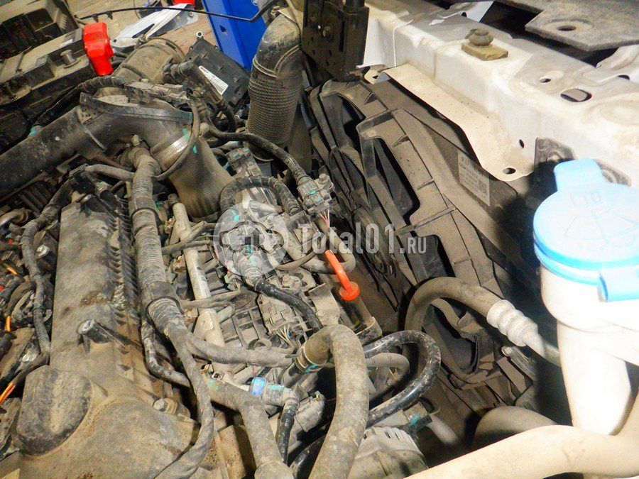 Фото EXEED LX 220