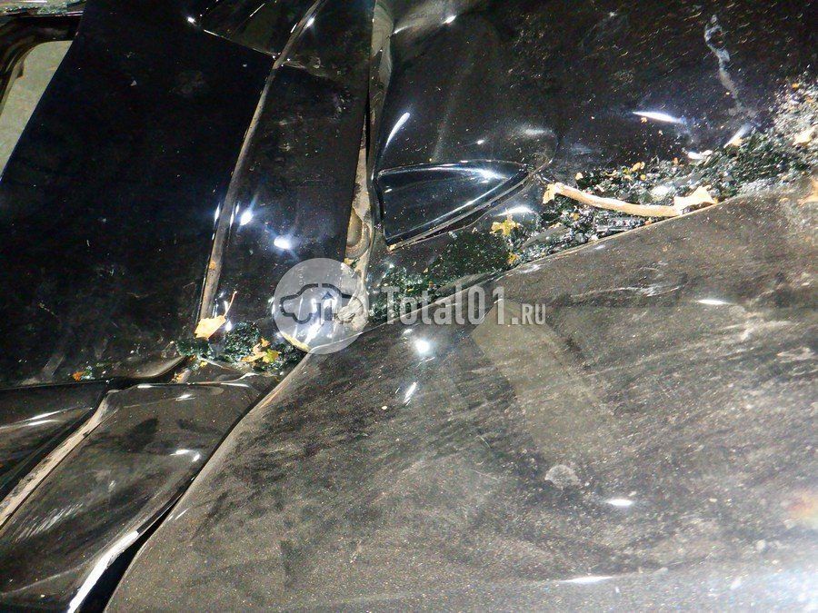 Фото OMODA C5 150