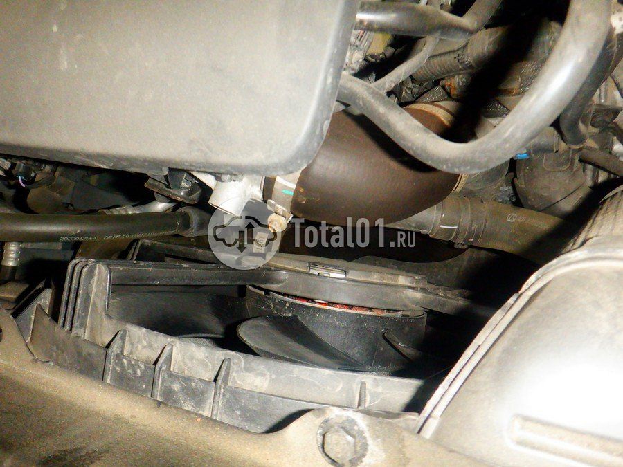 Фото OMODA C5 256