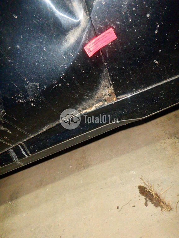 Фото BMW X6 M 158